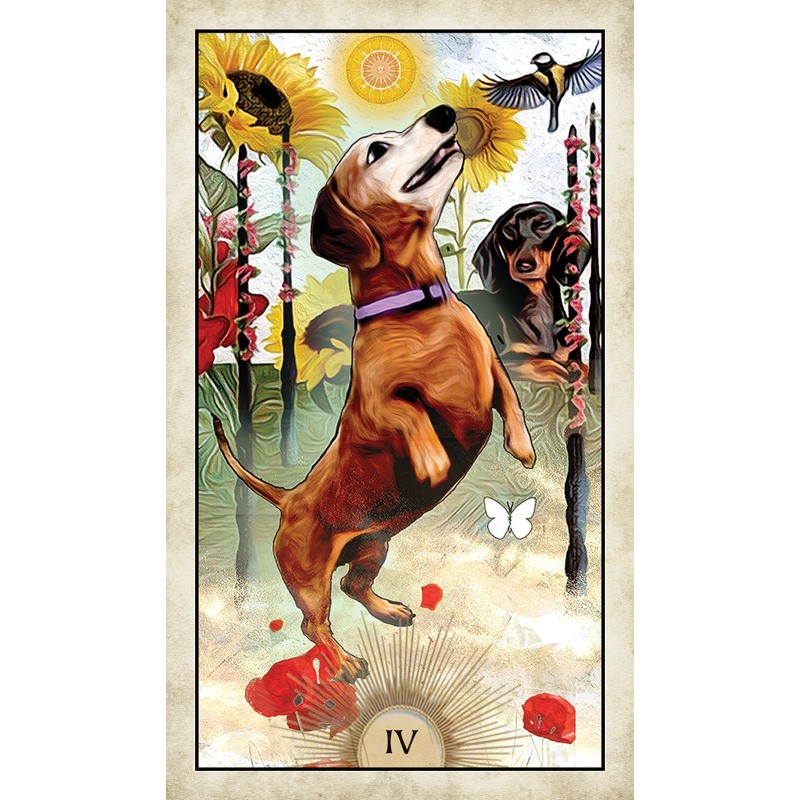 Tarot psí moudrosti