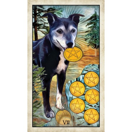 Tarot psí moudrosti