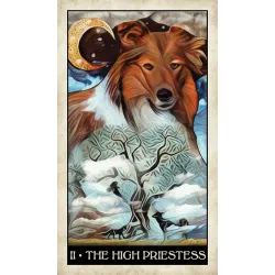 Tarot psí moudrosti