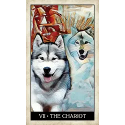 Tarot psí moudrosti