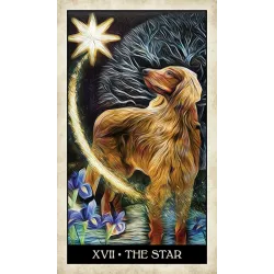 Tarot psí moudrosti