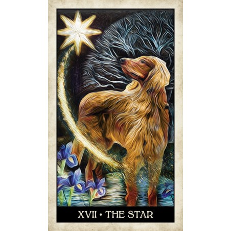 Tarot psí moudrosti